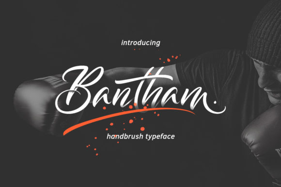 Bantham Typeface Review: A Relaxed Handwritten Font for Brand Identity