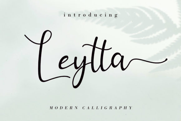 Leytta Handwritten Font Review: A Sweet Script for Digital Branding