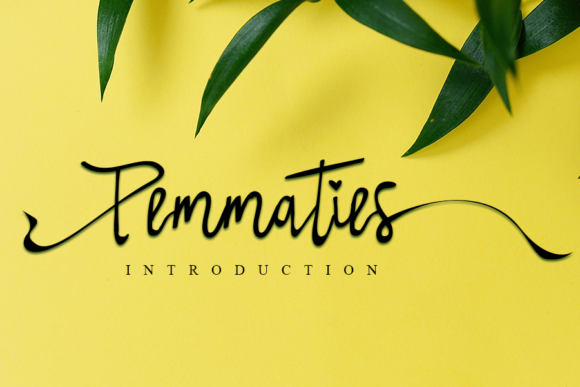 Pemmaties: A Relaxed Handwritten Typeface for Modern Branding
